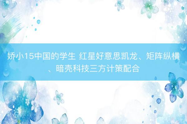 娇小15中国的学生 红星好意思凯龙、矩阵纵横、暗壳科技三方计策配合