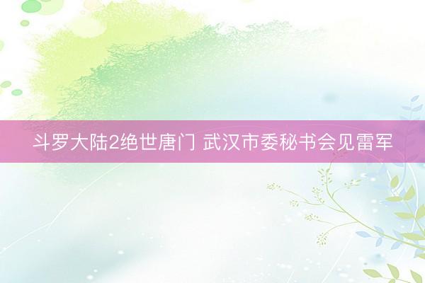 斗罗大陆2绝世唐门 武汉市委秘书会见雷军