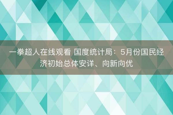 一拳超人在线观看 国度统计局:5月份国民经济初始总体安详、向新向优