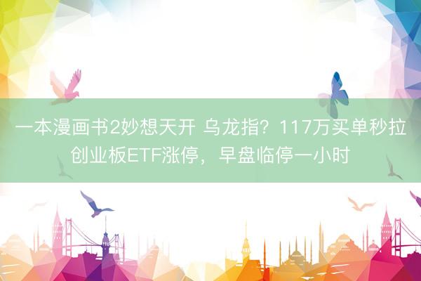 一本漫画书2妙想天开 乌龙指？117万买单秒拉创业板ETF涨停，早盘临停一小时