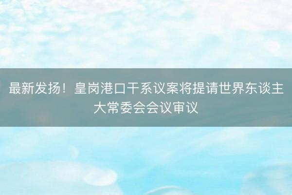 最新发扬！皇岗港口干系议案将提请世界东谈主大常委会会议审议