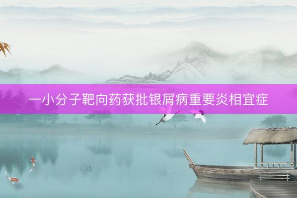 一小分子靶向药获批银屑病重要炎相宜症