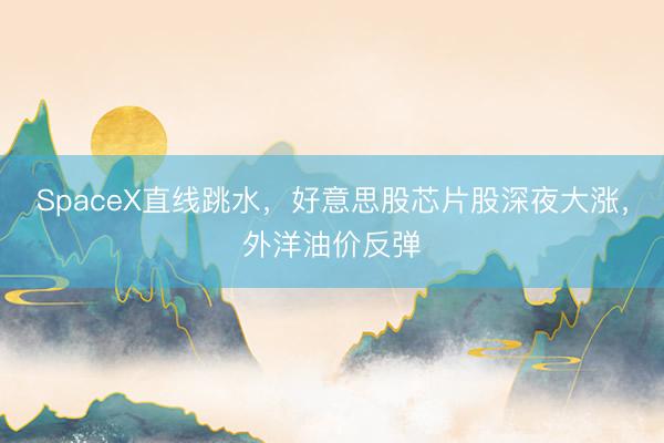 SpaceX直线跳水，好意思股芯片股深夜大涨，外洋油价反弹