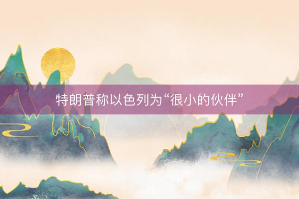 特朗普称以色列为“很小的伙伴”