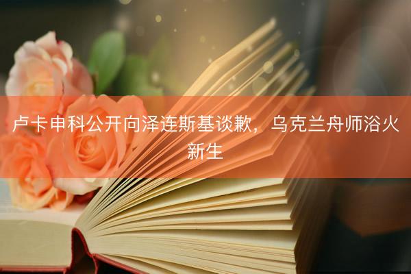 卢卡申科公开向泽连斯基谈歉，乌克兰舟师浴火新生