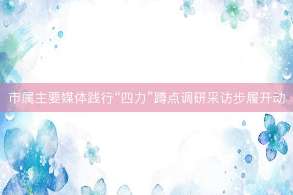 市属主要媒体践行“四力”蹲点调研采访步履开动